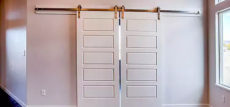 Glass Barn Door with Installation Hardware Kit Elizabeth