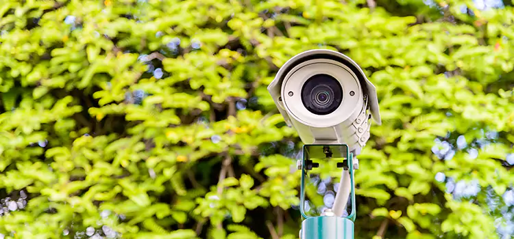 Advanced Surveillance Solutions for Every Need in Elizabeth